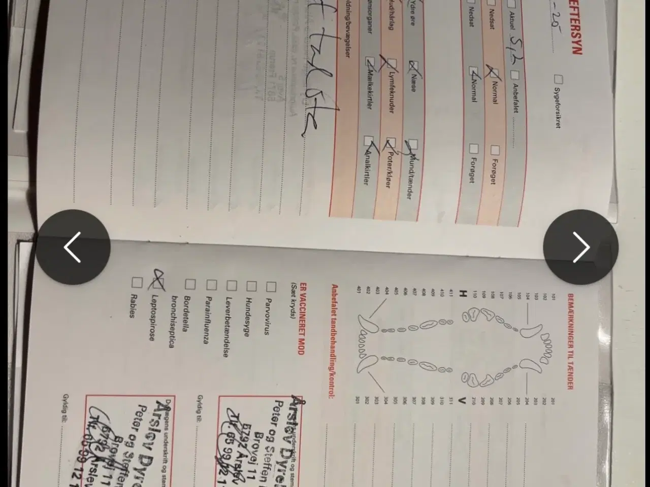 Billede 2 - Læs hele annoncen!