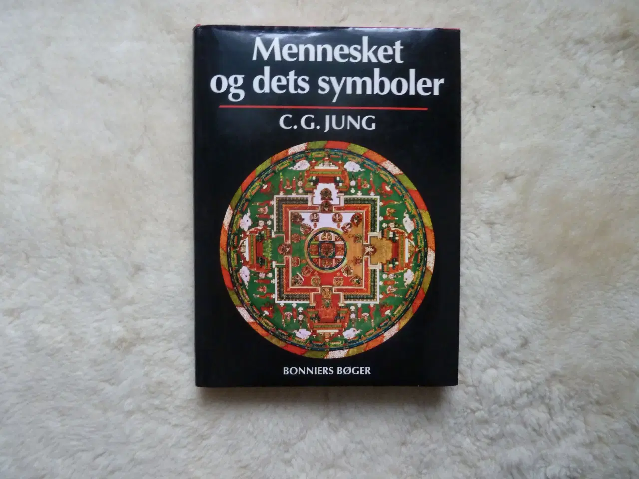 Billede 1 - C. G. Jung Mennesket og dets symboler