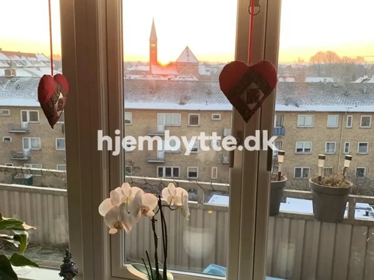 Billede 8 - Hjembytte - Falen