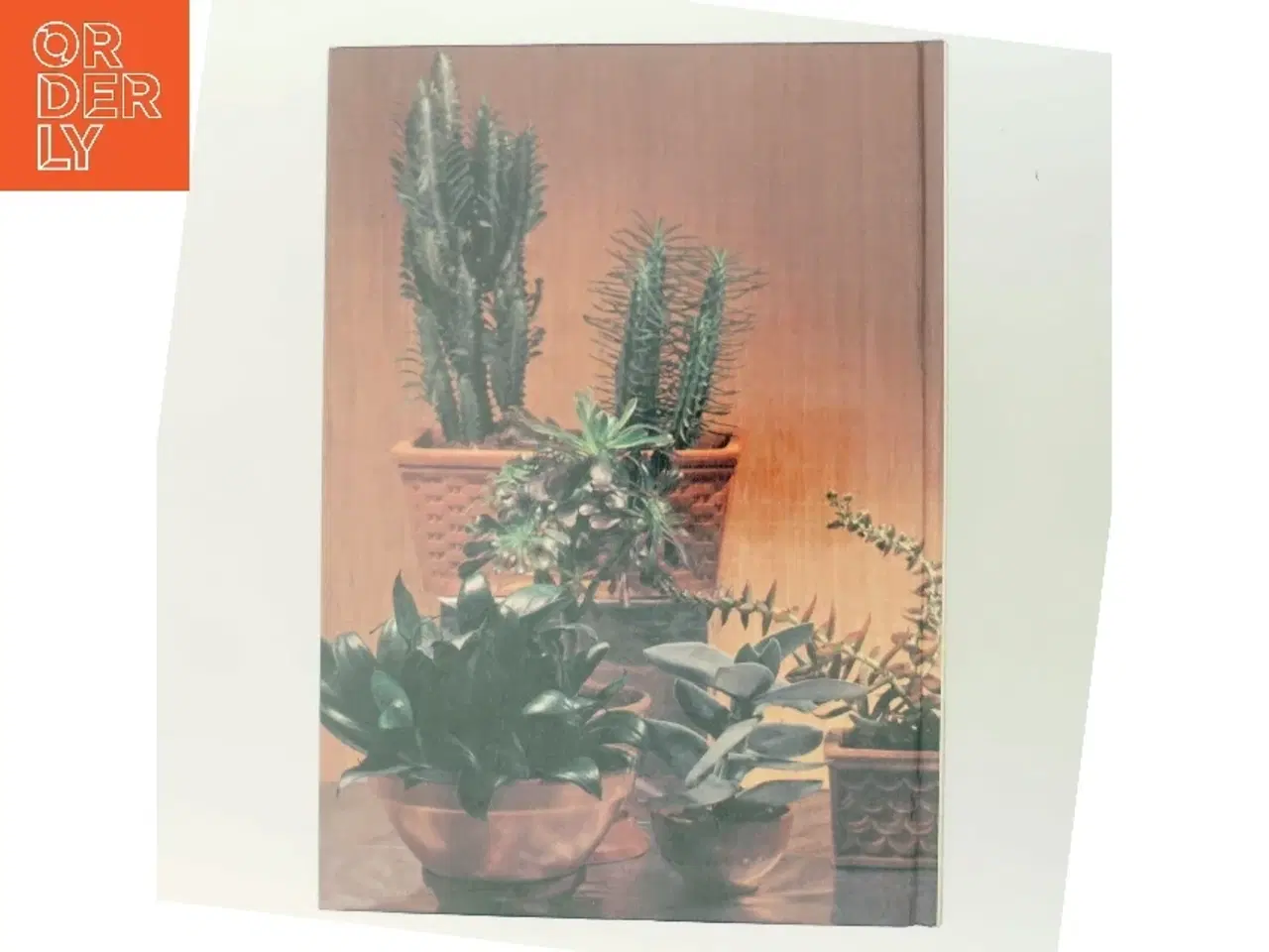 Billede 3 - Sukkulenter af <Bogforfattere ikke oplyst< (Bog)