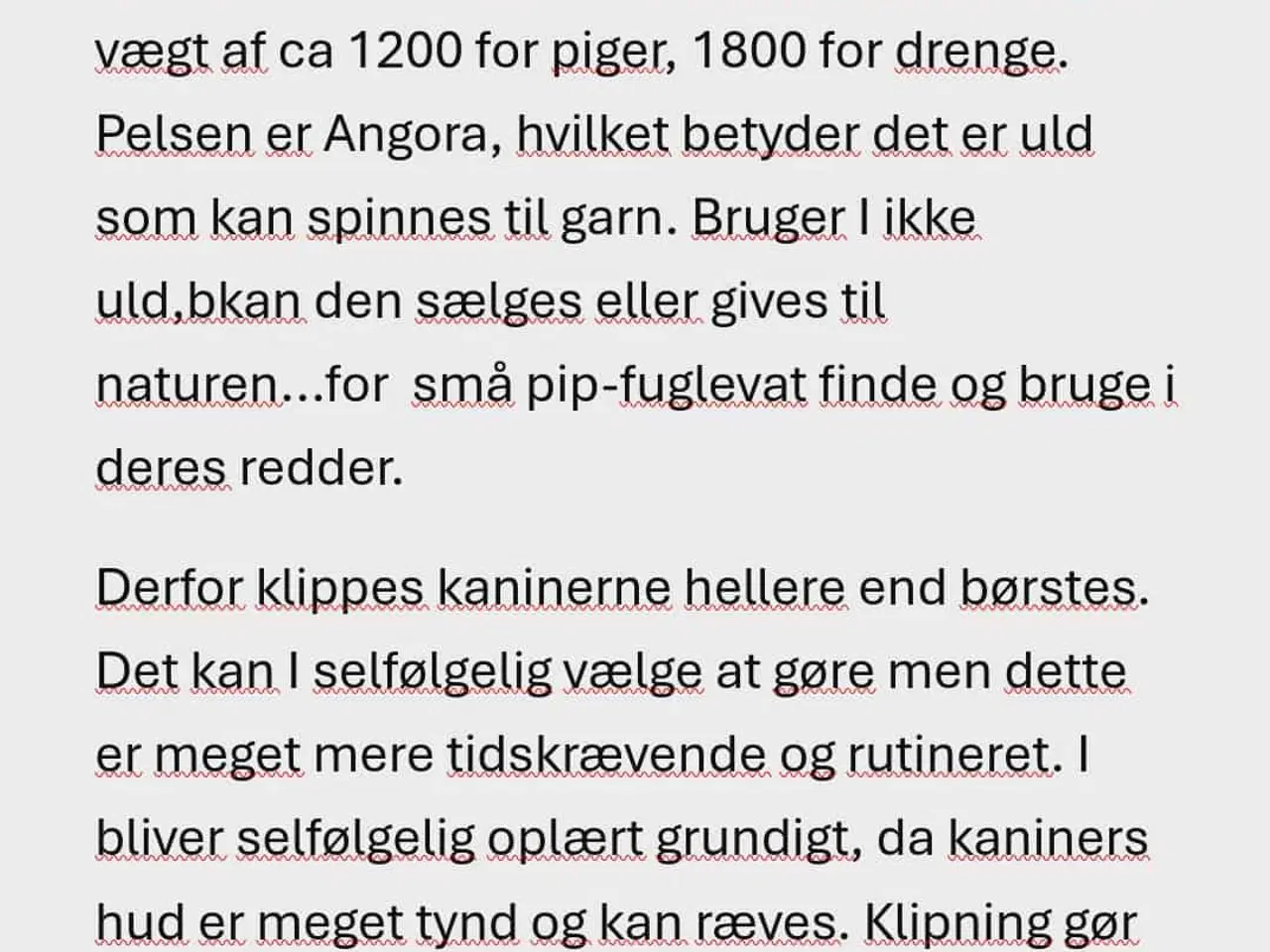 Billede 3 - Ren Racet Teddy (dværg angora kanin) dreng  