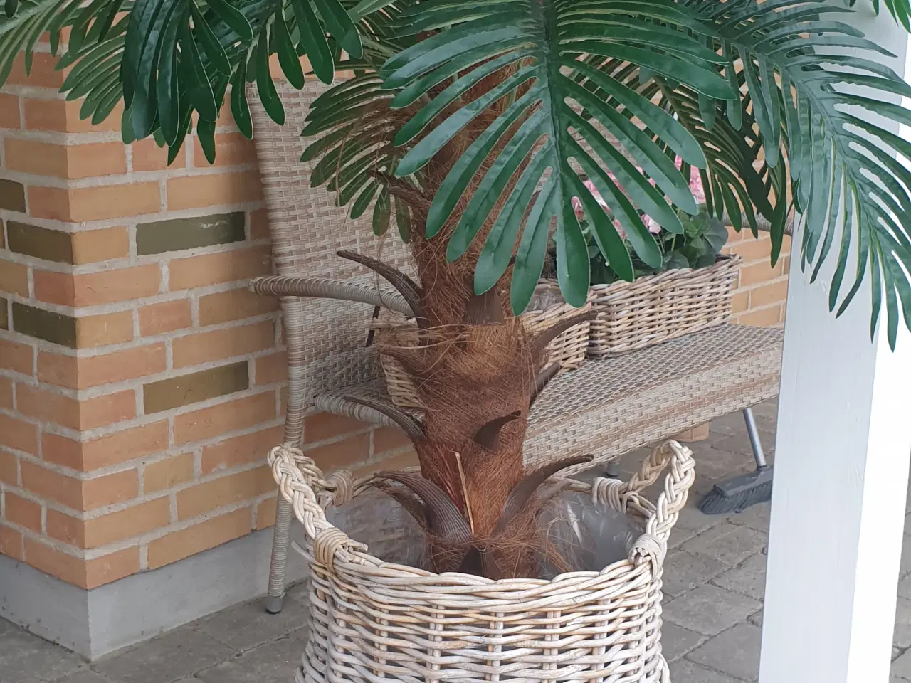 Billede 1 - Pilefletkurv m/palme