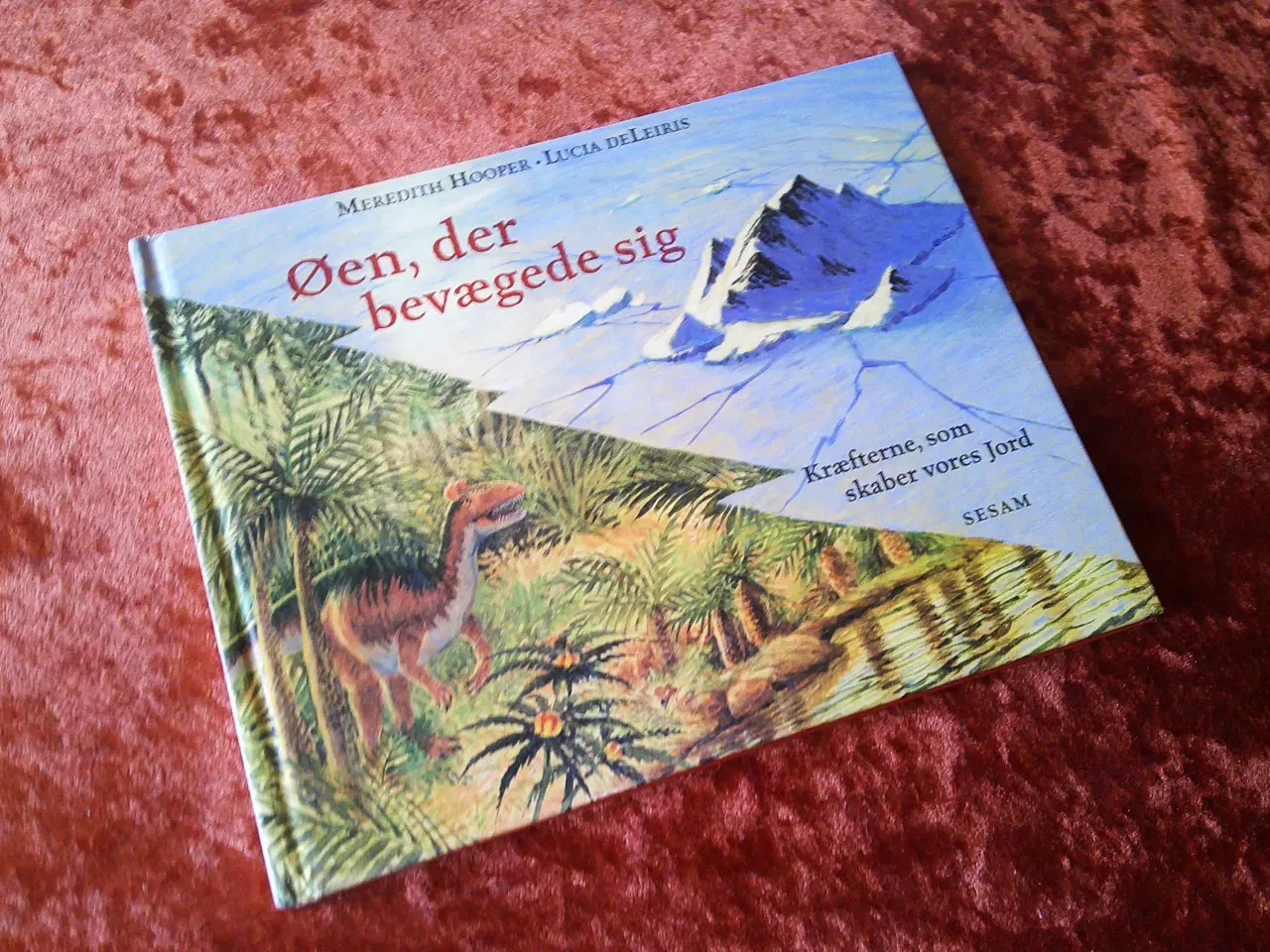 Billede 1 - Øen, der bevægede sig, Meredith Hooper