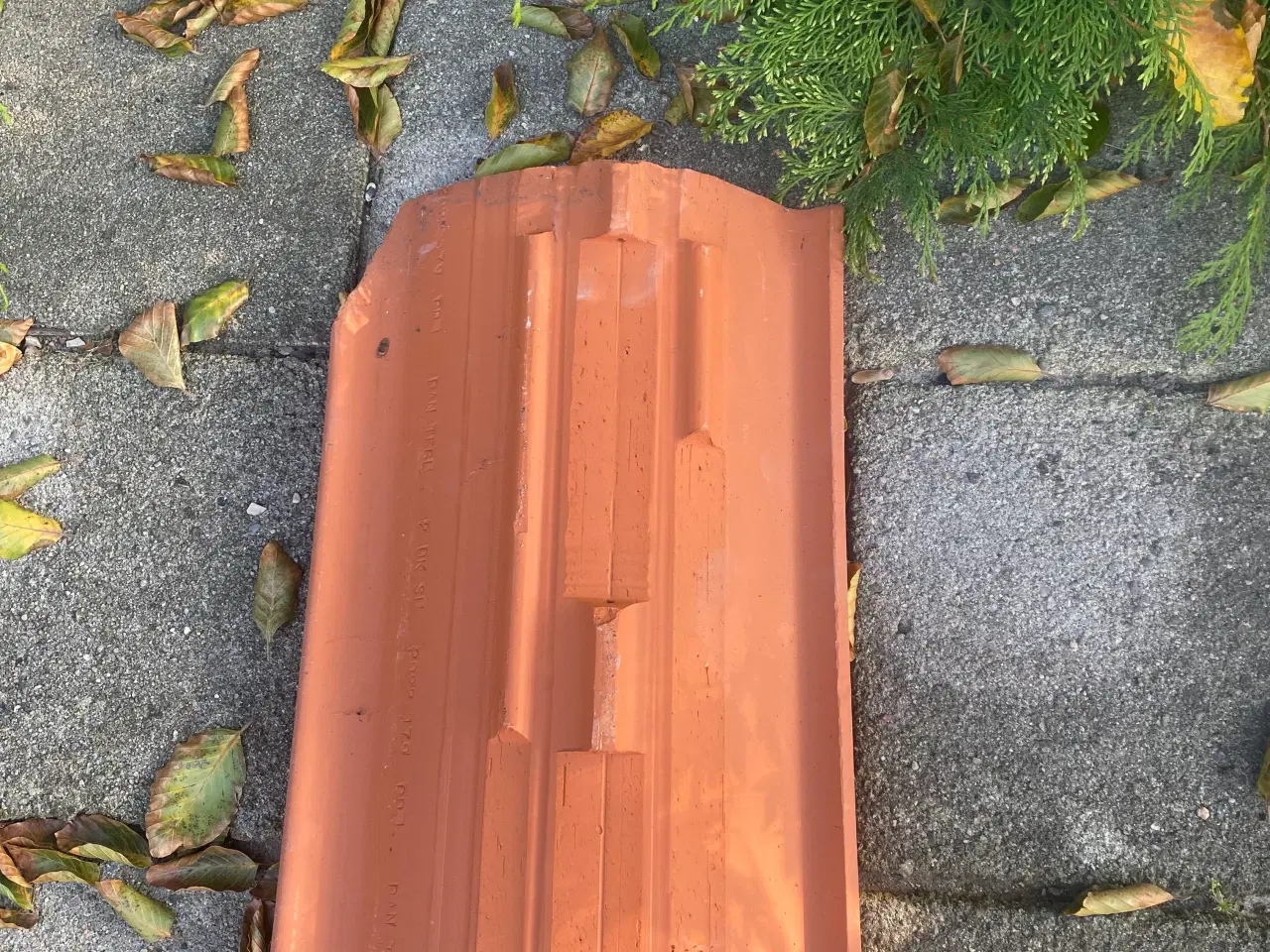 Billede 2 - Dantegl, dobbeltvinget tegltagsten, nye