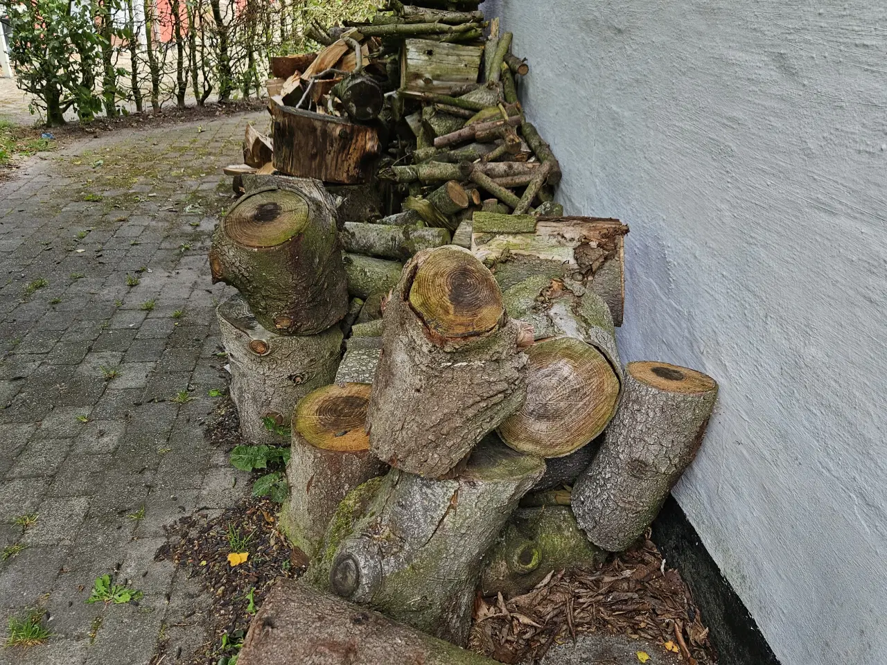 Billede 2 - Brænde