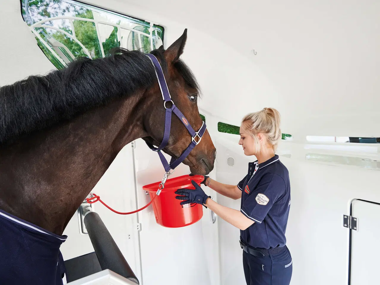 Billede 19 - Böckmann Neo L SKA