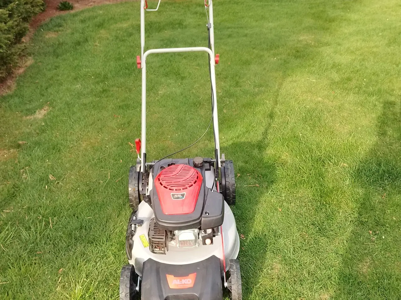 Billede 1 - Plæne klipper 