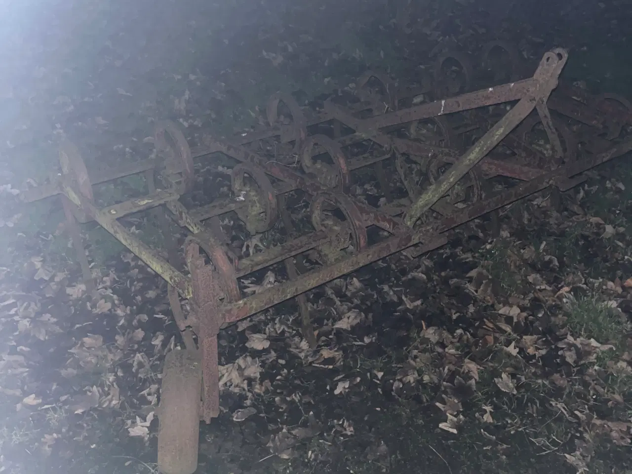 Billede 1 - Stubharve