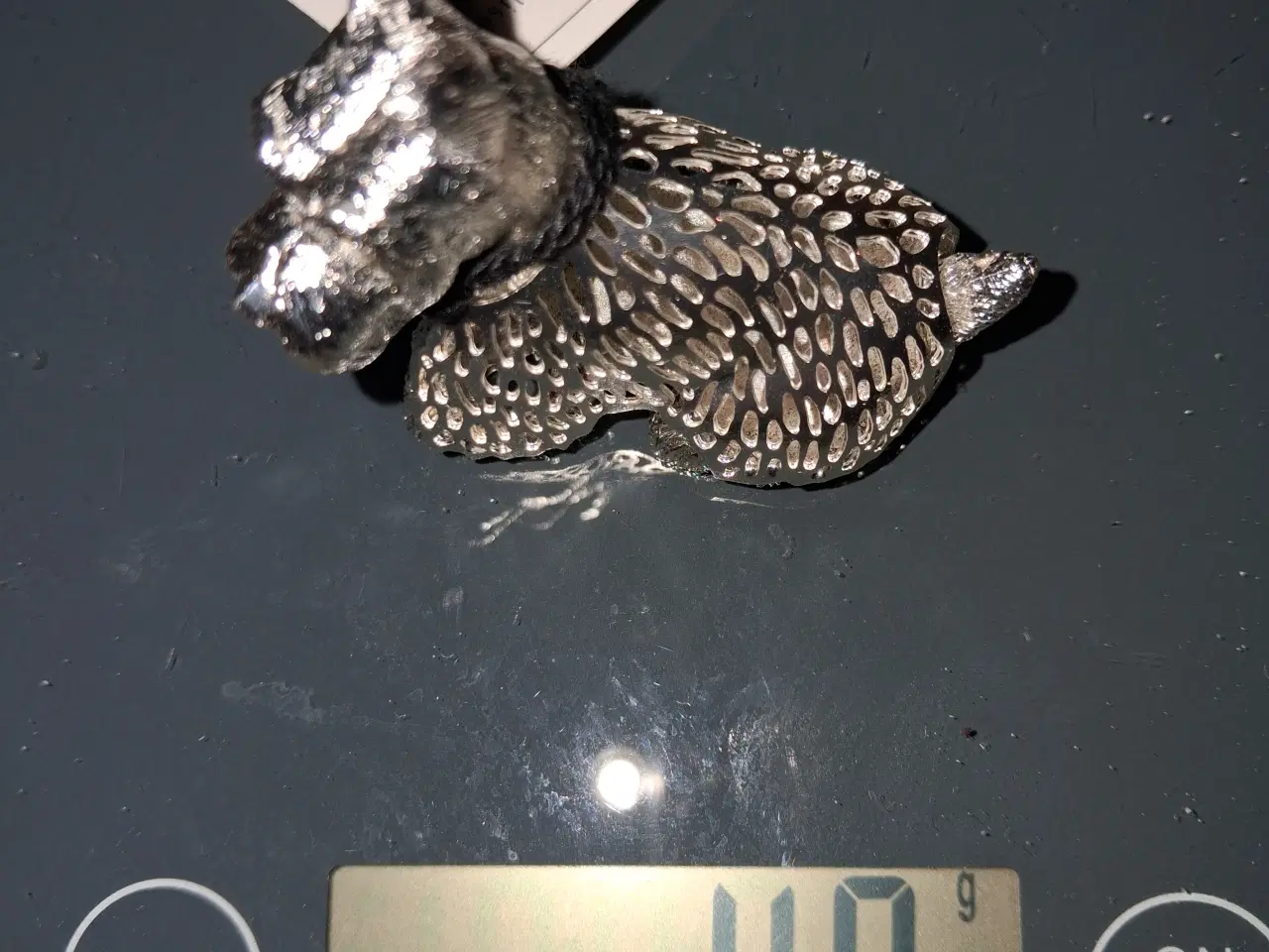 Billede 8 - Sølv: Fransk terrier i miniature