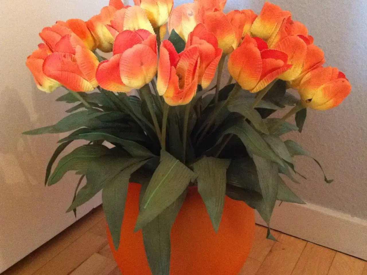 Billede 4 - Orange tulipaner til salg