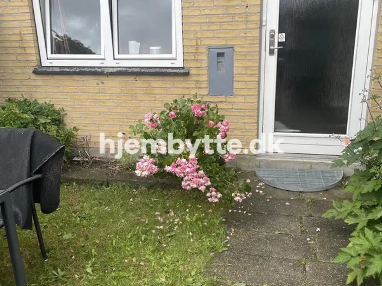 Billede 5 - Hjembytte - Dalskrænten