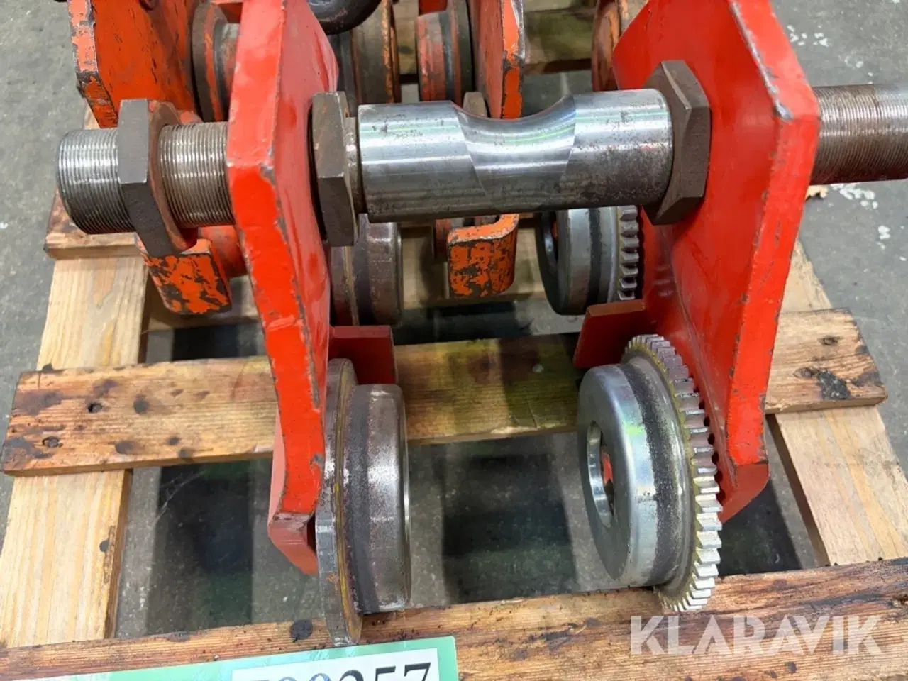 Billede 6 - Løbe katte 3 styk.