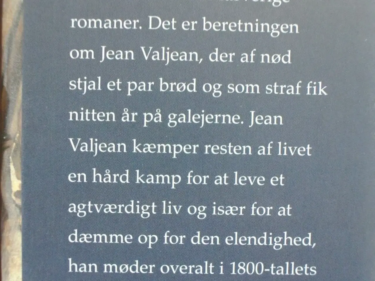 Billede 2 - de elendige, af victor hugo, genre: roman