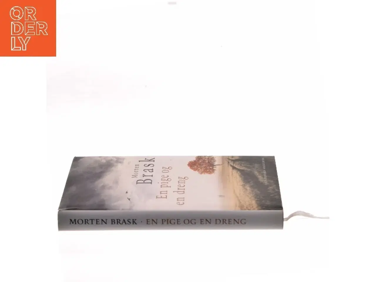 Billede 2 - En pige og en dreng af Morten Brask (Bog)
