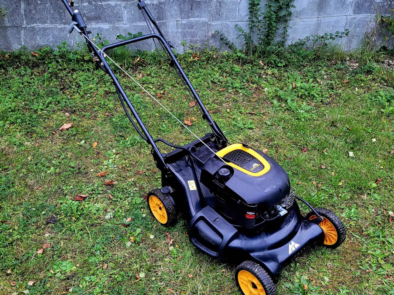 Billede 3 - Mcculloch M53-190ER