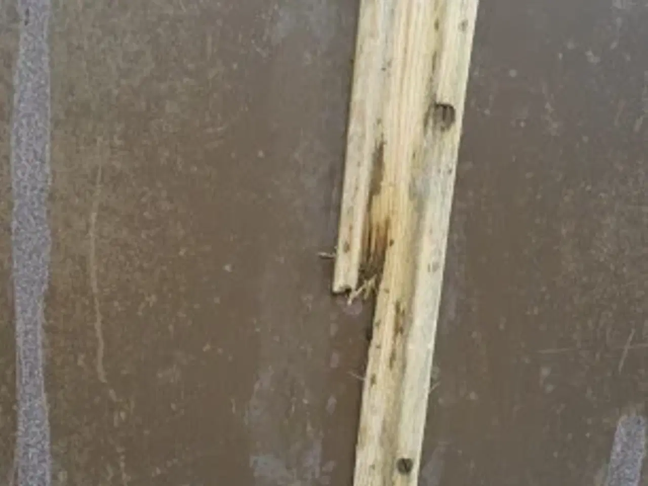 Billede 6 - Dronningborg D8500 Plade 28230084