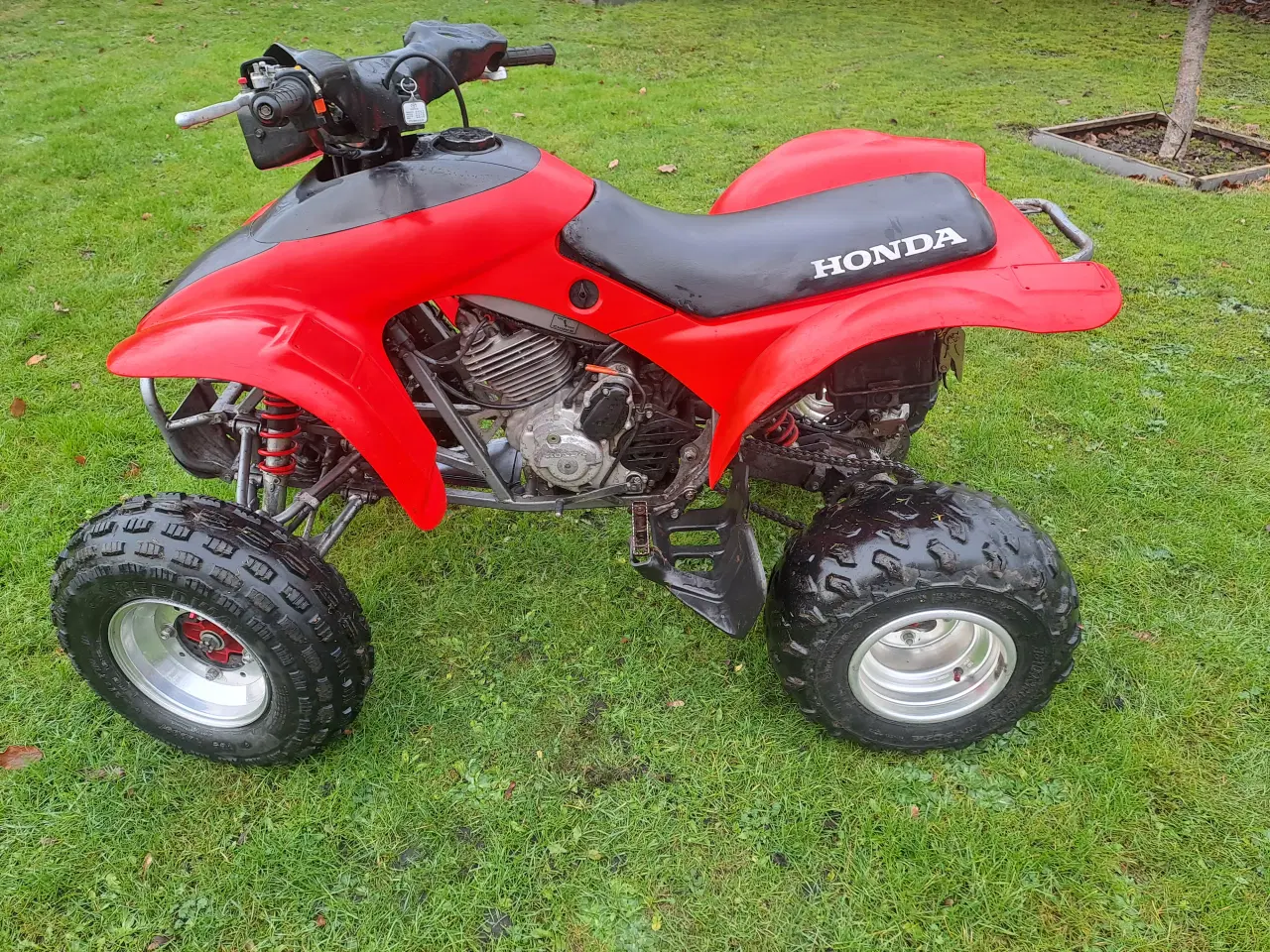 Billede 6 - Honda trx300ex 