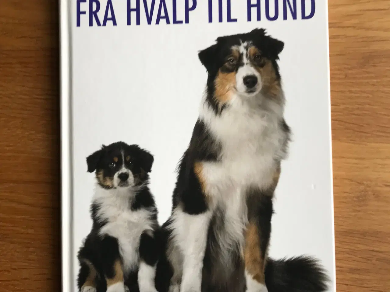 Billede 2 - Fra Hvalp til Hund  af Irene Jarnved