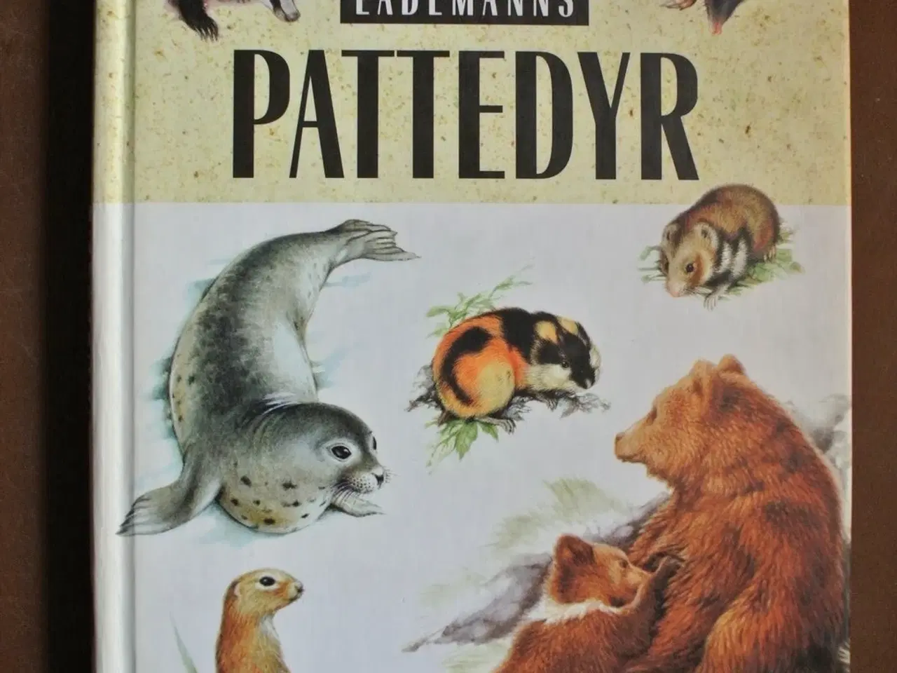 Billede 1 - lademanns pattedyr, oversat og bearbejdet af jespe