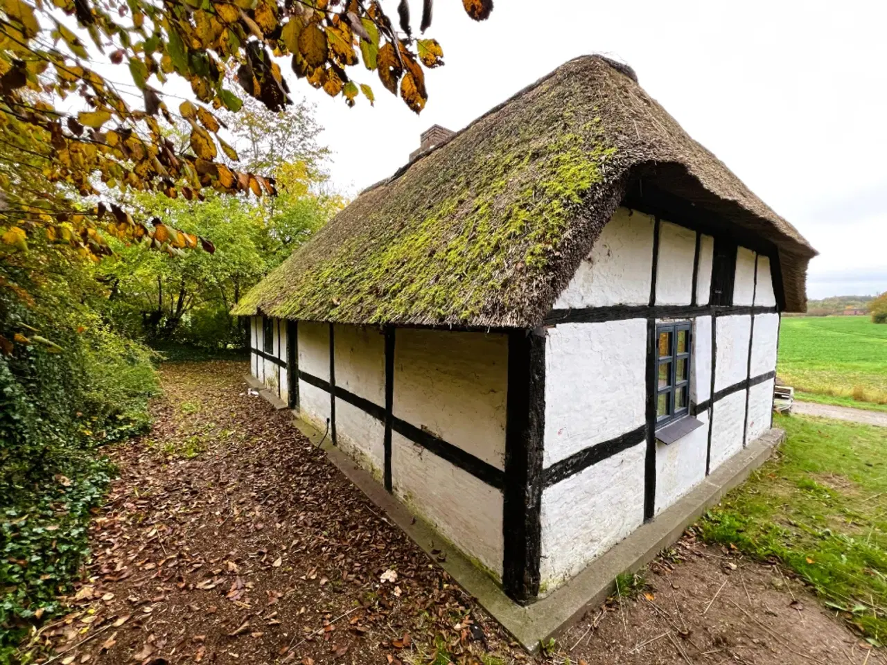 Billede 4 - Lille hus på landet