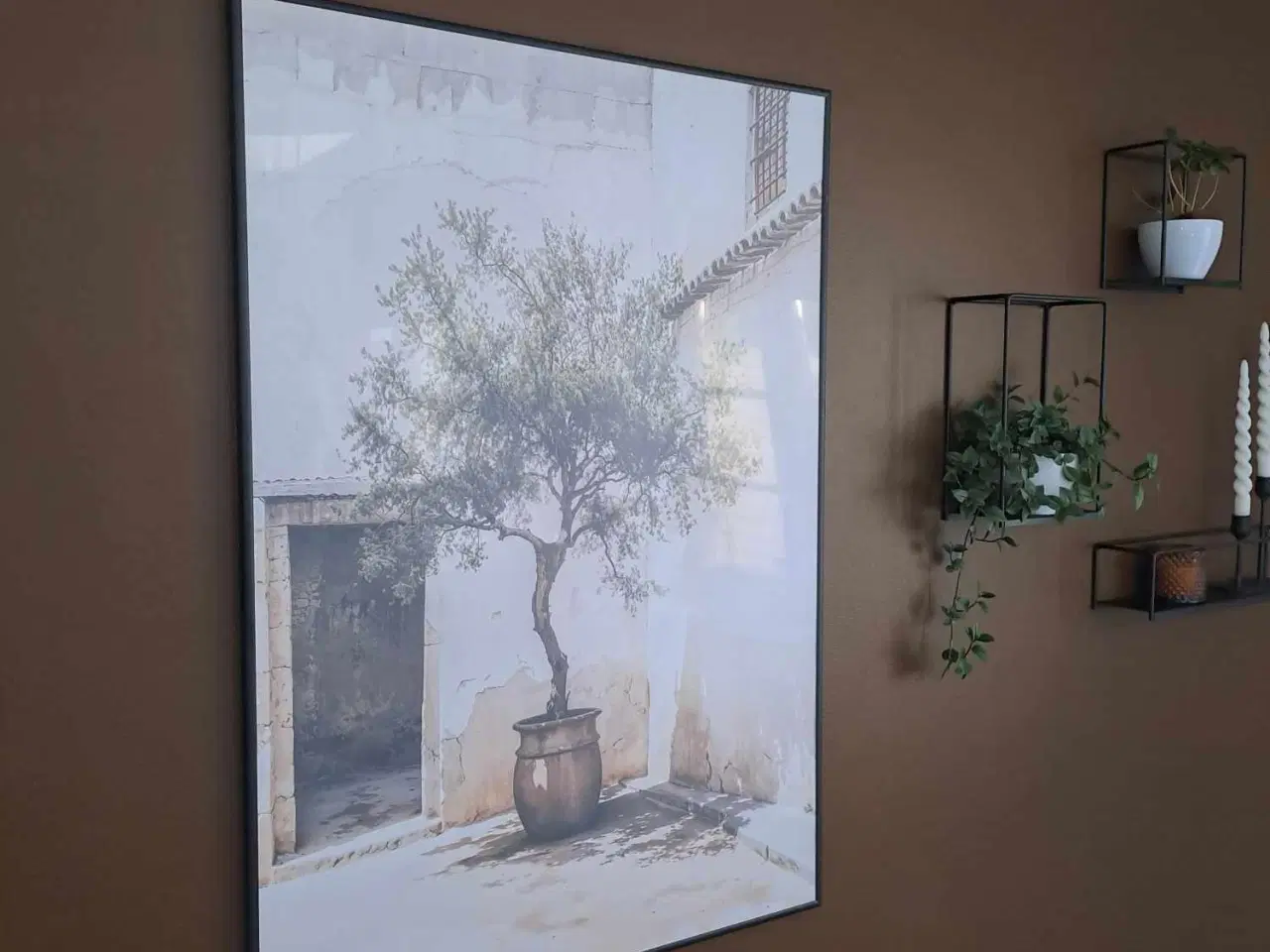 Billede 2 - Plakat - Olive Tree Mediterranean 70x100cm