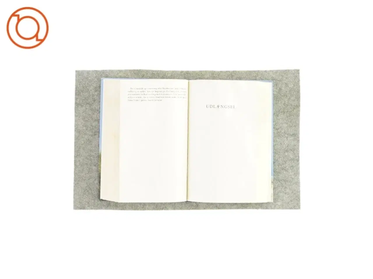 Billede 3 - Lenvigkrøniken af Jane Aamund (bog)