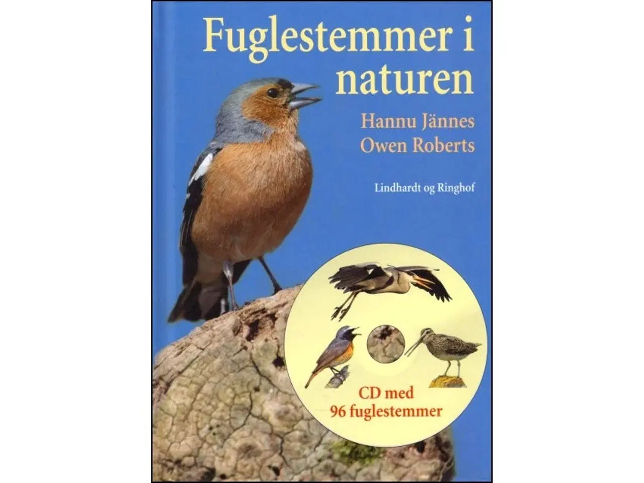 Billede 2 - Fuglene i haven