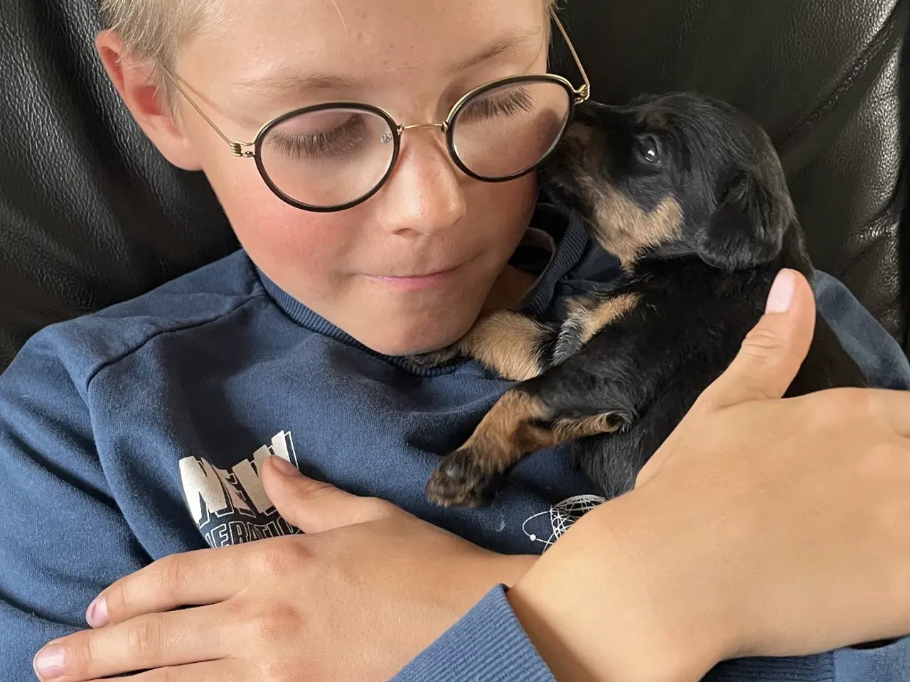 Billede 7 - Tysk Jagtterrier hvalpe salgsklar - 2 hanner