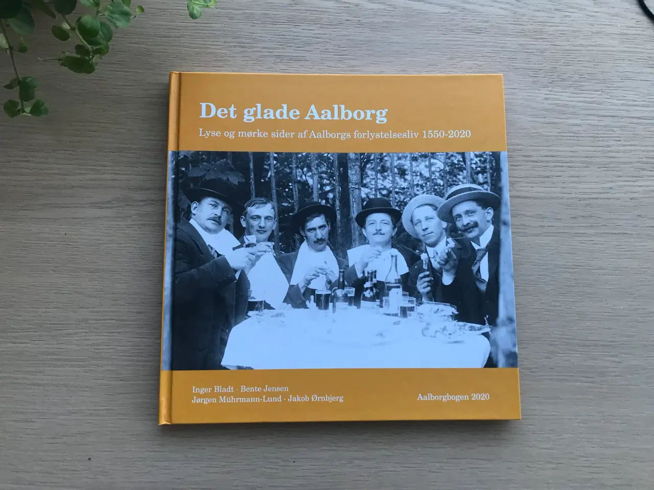 Billede 1 - Det glade Aalborg  -  Aalborgbogen 2020