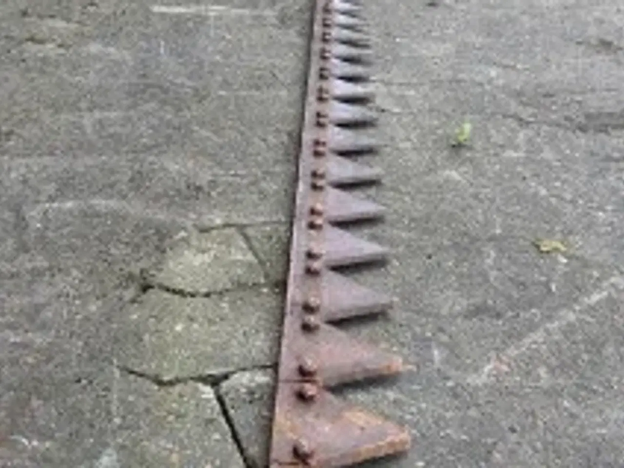 Billede 5 - Claas Knivassy Segment 0005234690