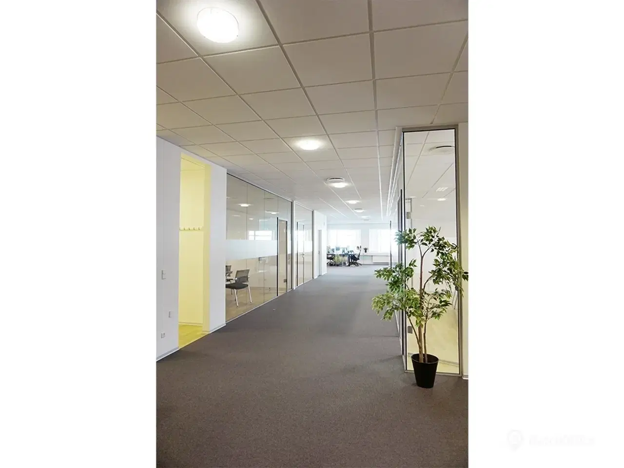 Billede 5 - Kontordomicil på god beliggenhed i Herlev