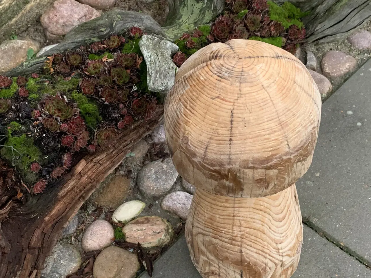 Billede 3 - PADDEHAT/ TRÆSVAMP - Ny pris