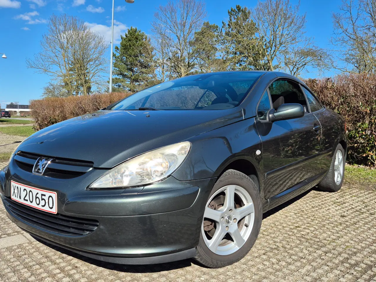 Billede 12 - 307 Cabriolet 