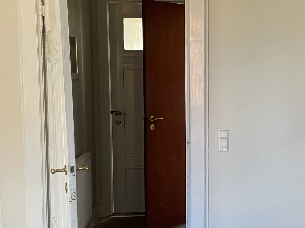 Billede 1 - Original gammel dør med fyldninger