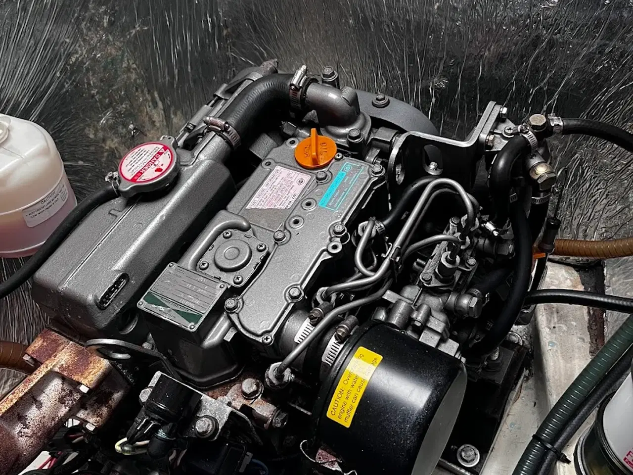 Billede 12 - Albin Scampi 30 skarp pris