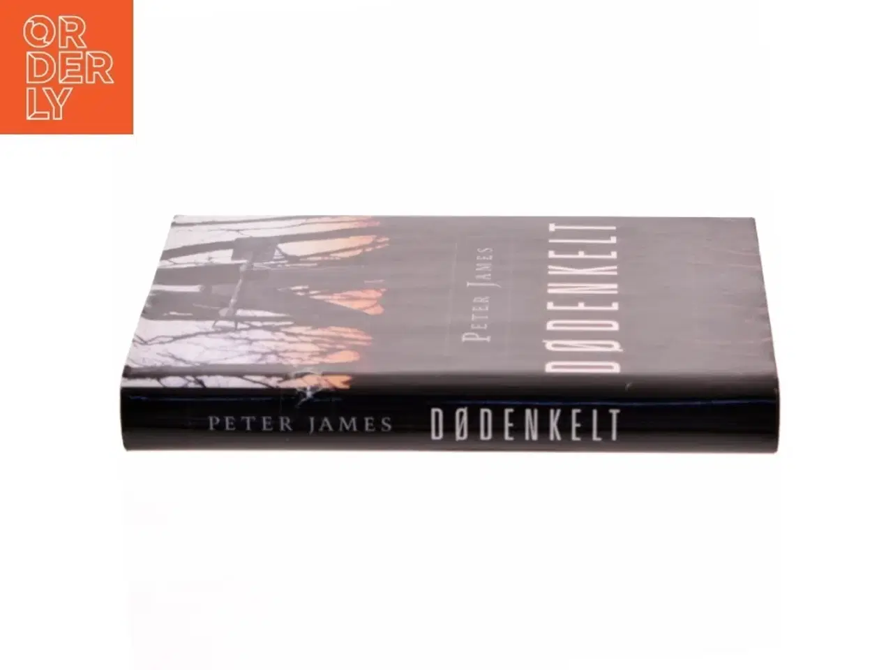 Billede 2 - Dødenkelt af Peter James (f. 1948) (Bog)