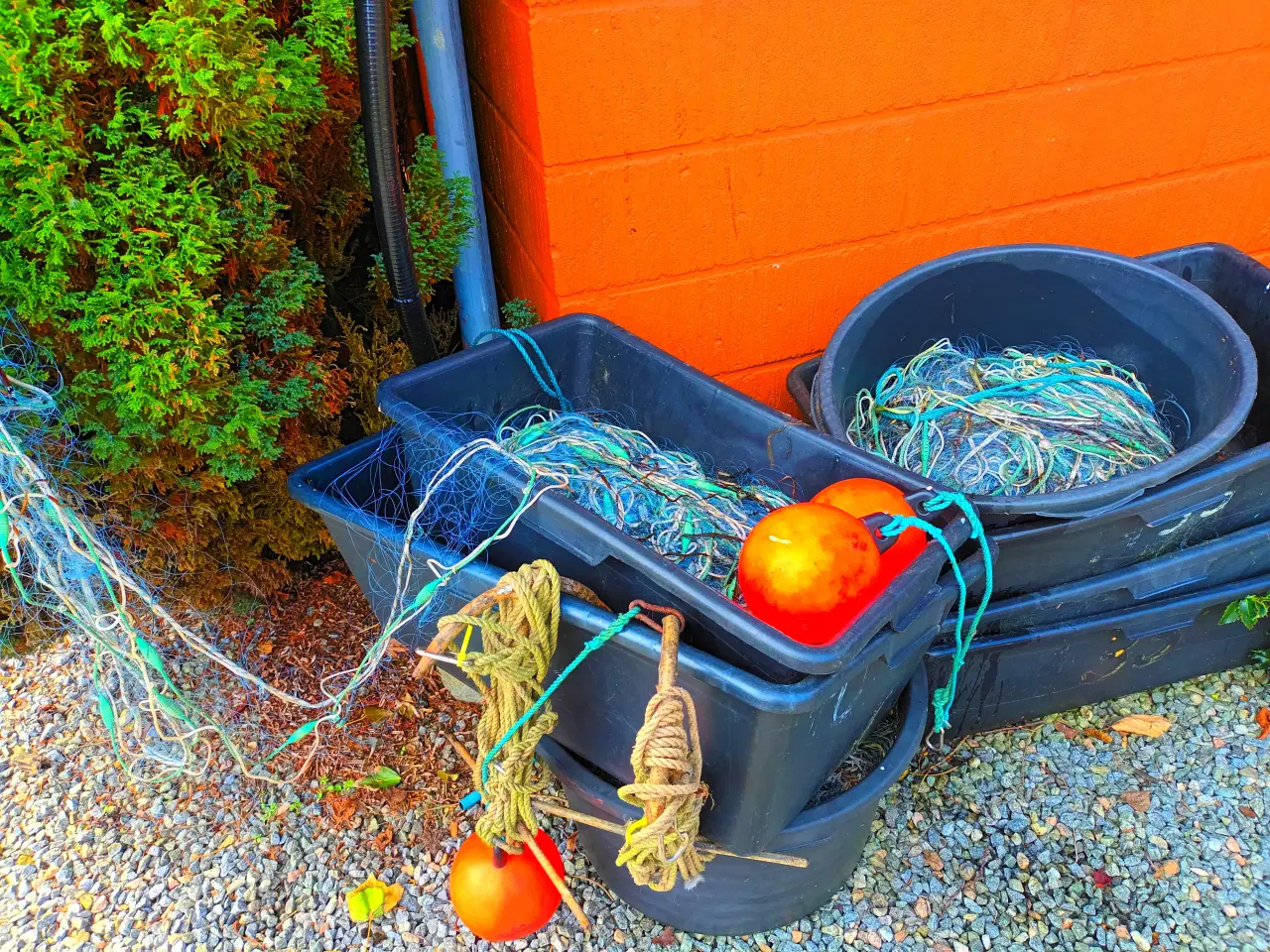 Billede 1 - rødspætte-fladfiske-silde garn- ankre m.m.