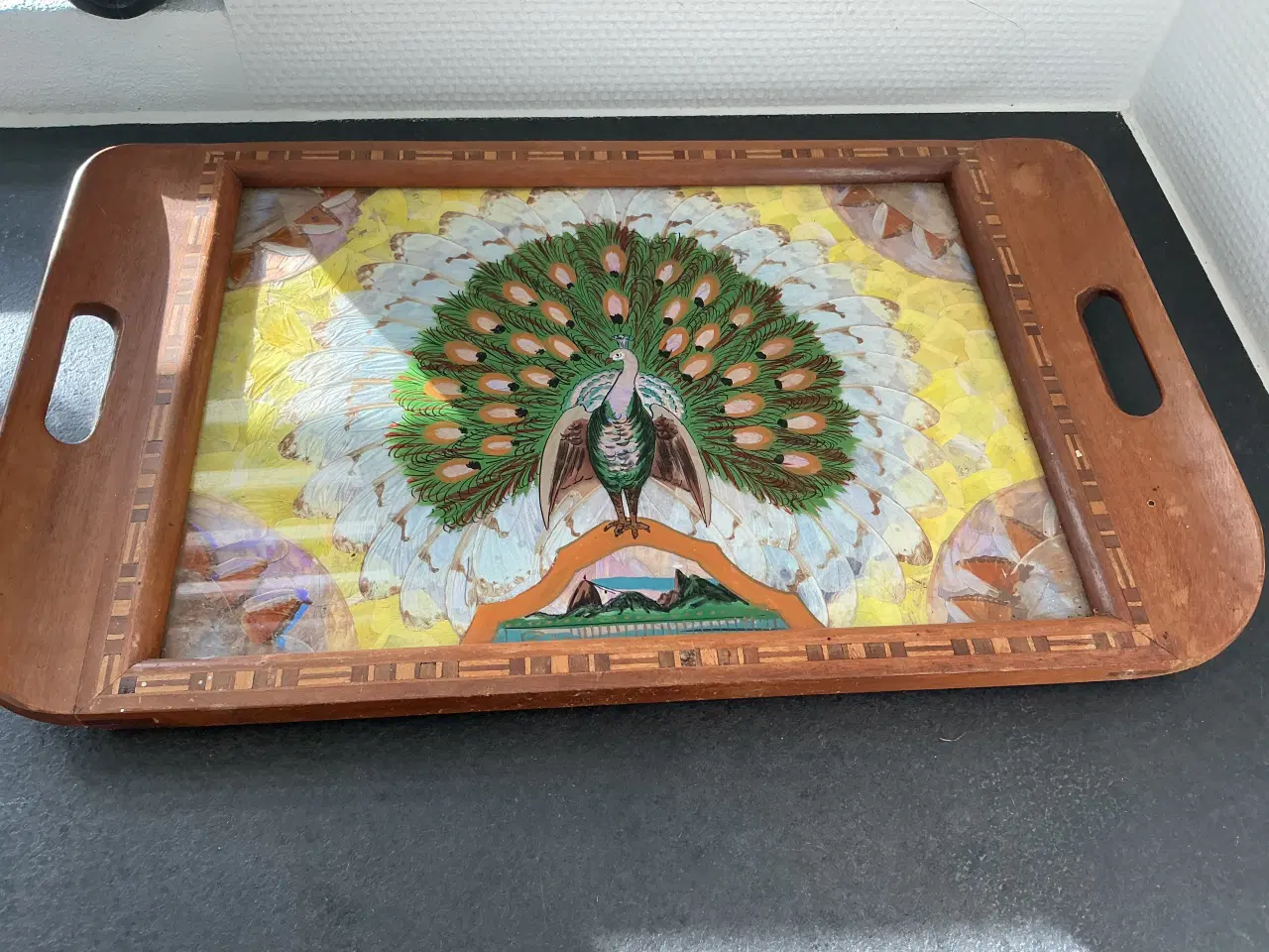 Billede 1 - Sommerfuglebakke