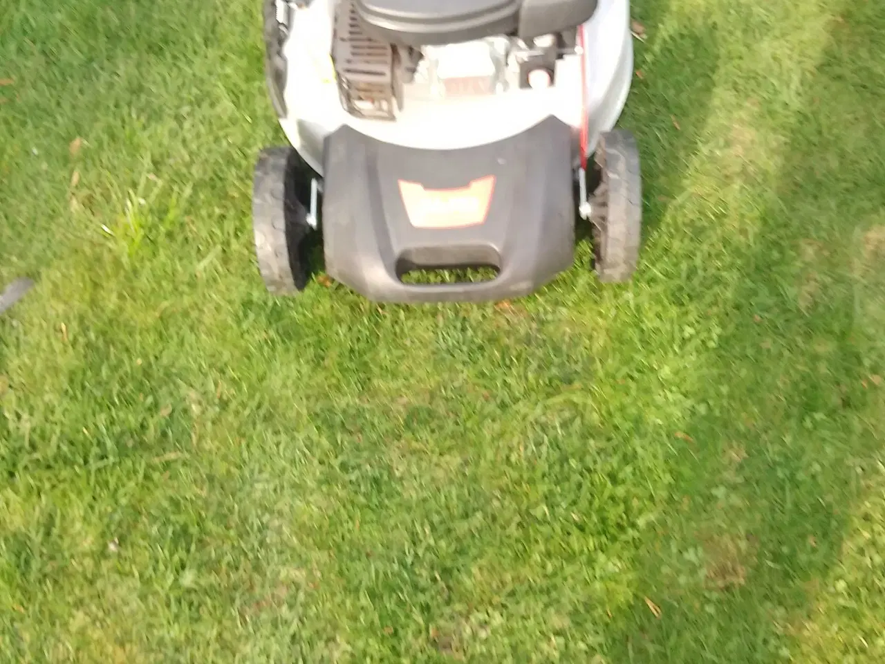 Billede 2 - Plæne klipper 