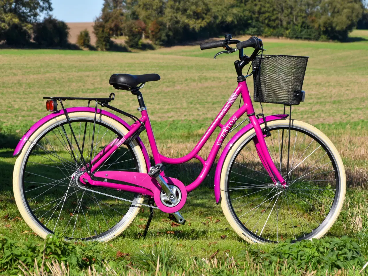 Billede 2 - Everton Nostalgic 7G 47CM