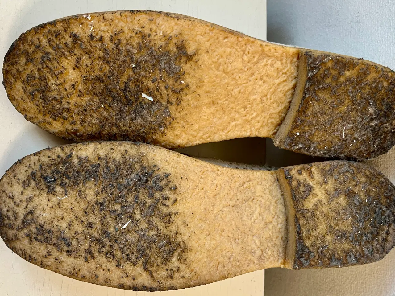 Billede 6 - Angulus, støvletter, str 37