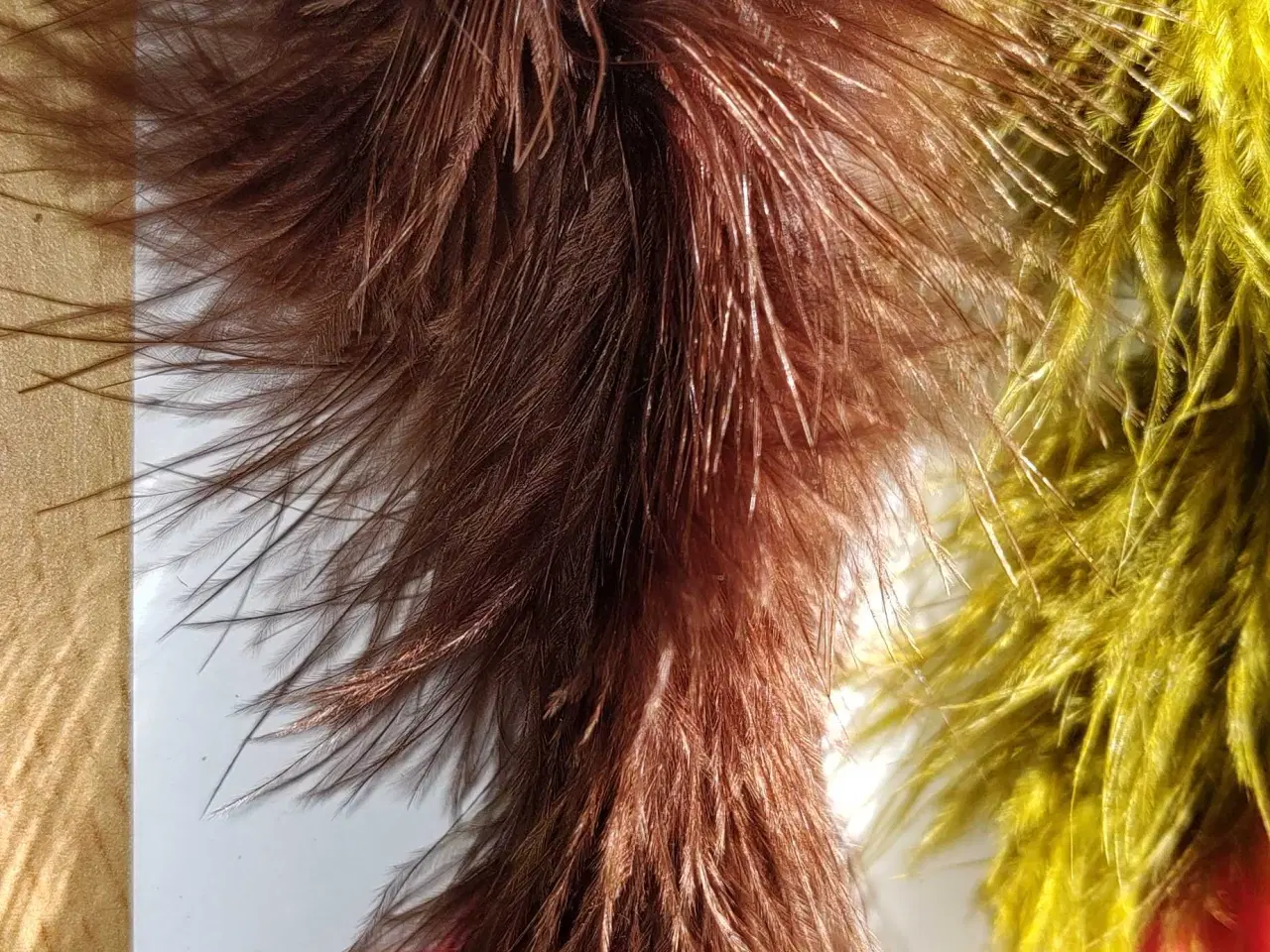 Billede 2 - 5 styks børsteorm 's fluer.