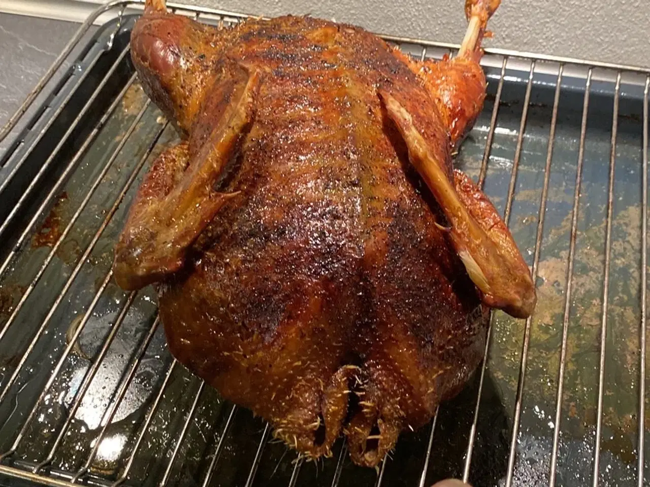 Billede 3 - Moskus Ænder 