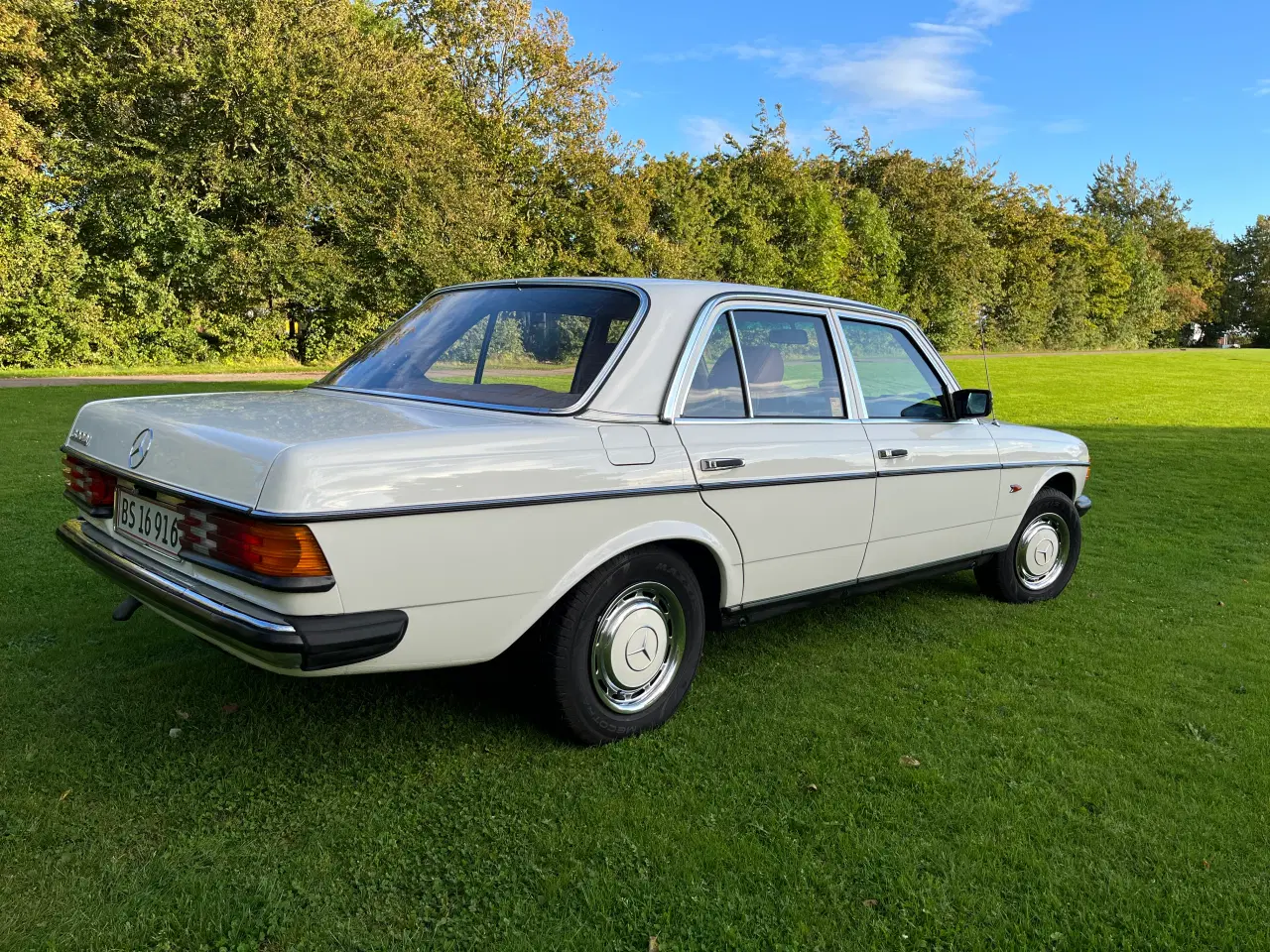 Billede 3 - Mercedes 300D  w123 1982 