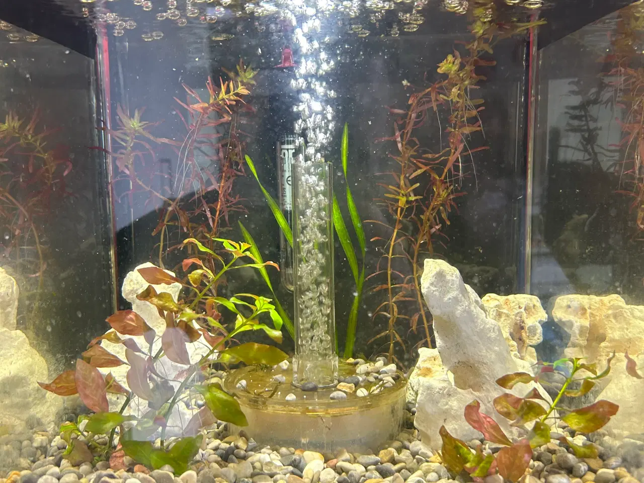 Billede 2 - Biorb Cube 30L Akvarie med massere af udstyr