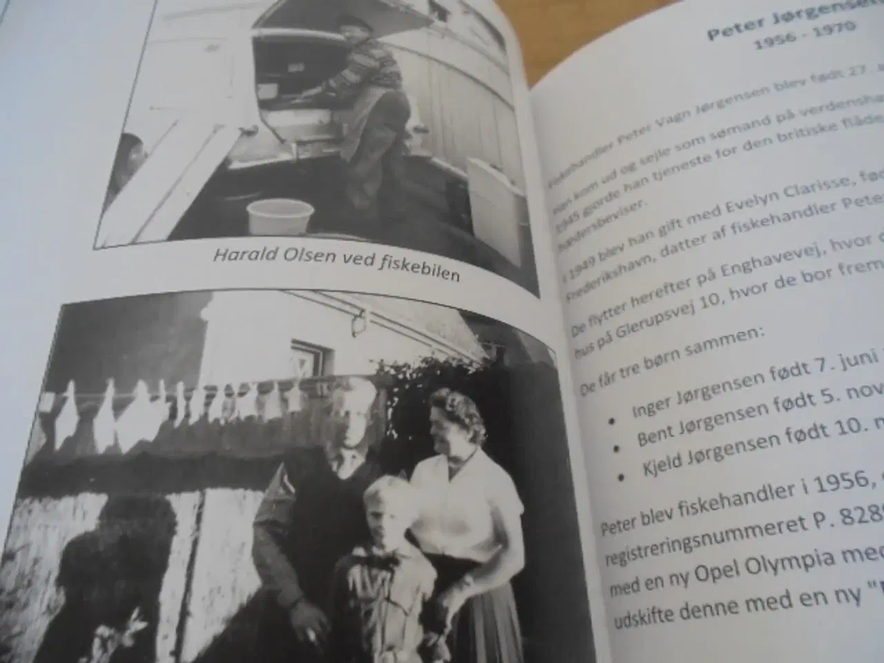 Billede 4 - 32 fiskeforretninger og 79 fiskevogne