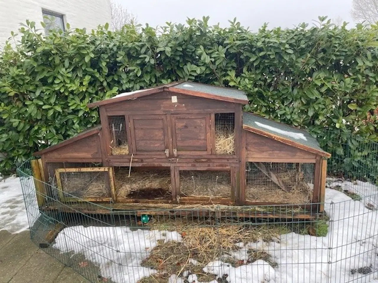 Billede 1 - Stort kaninbur med plads til to kaniner