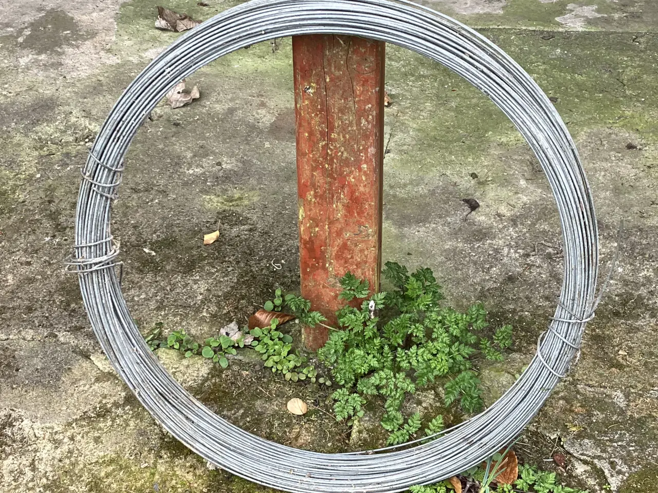 Billede 1 - Kraftigt hegnstråd