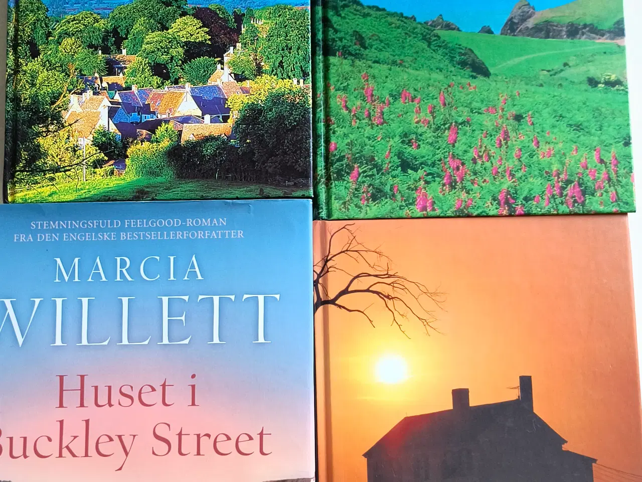 Billede 1 - Marcia willett bøger 