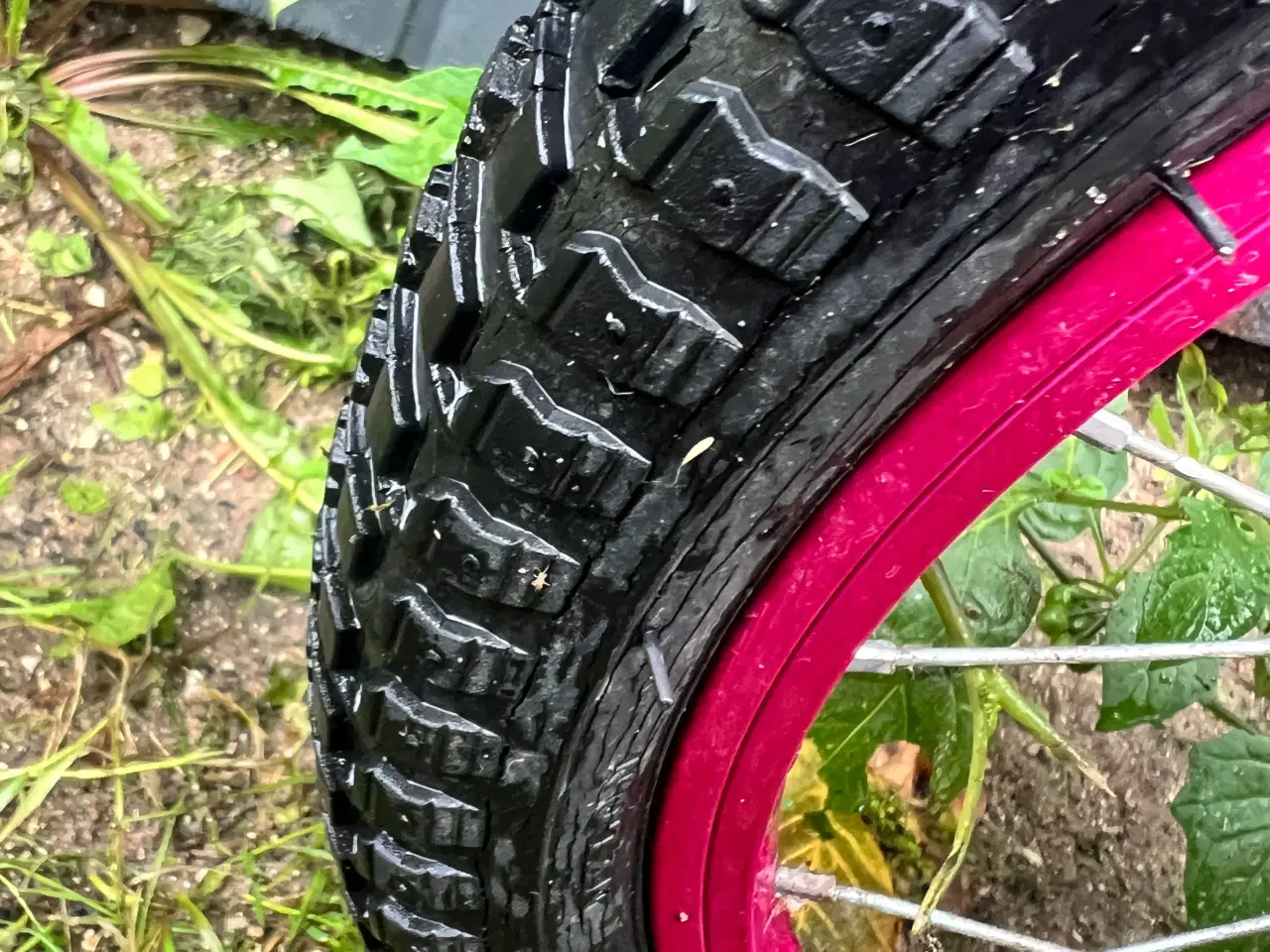 Billede 7 - Pigecykel 16 t